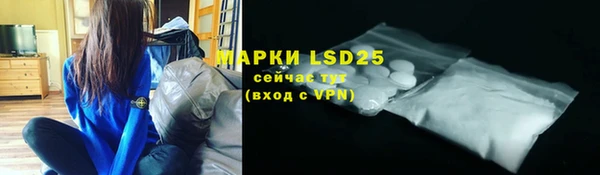 PSILOCYBIN Вязники