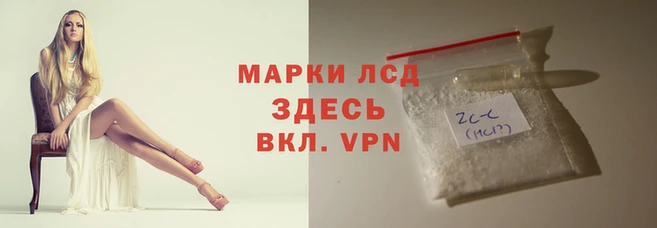 меф Вяземский
