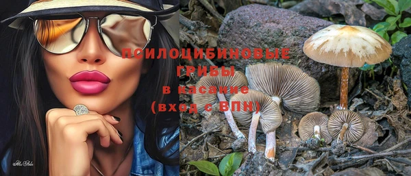 мдпв Вязьма