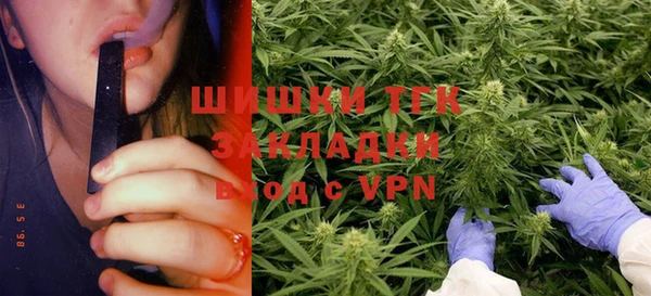 PSILOCYBIN Вязники