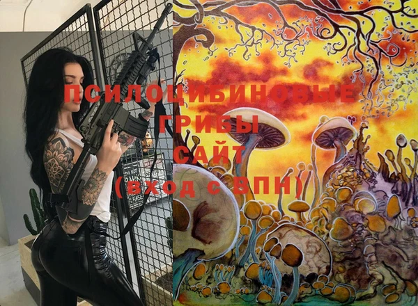 PSILOCYBIN Вязники