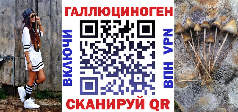 Псилоцибиновые грибы GOLDEN TEACHER  Купить  Красноперекопск 